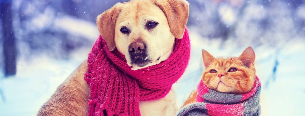 cold weather