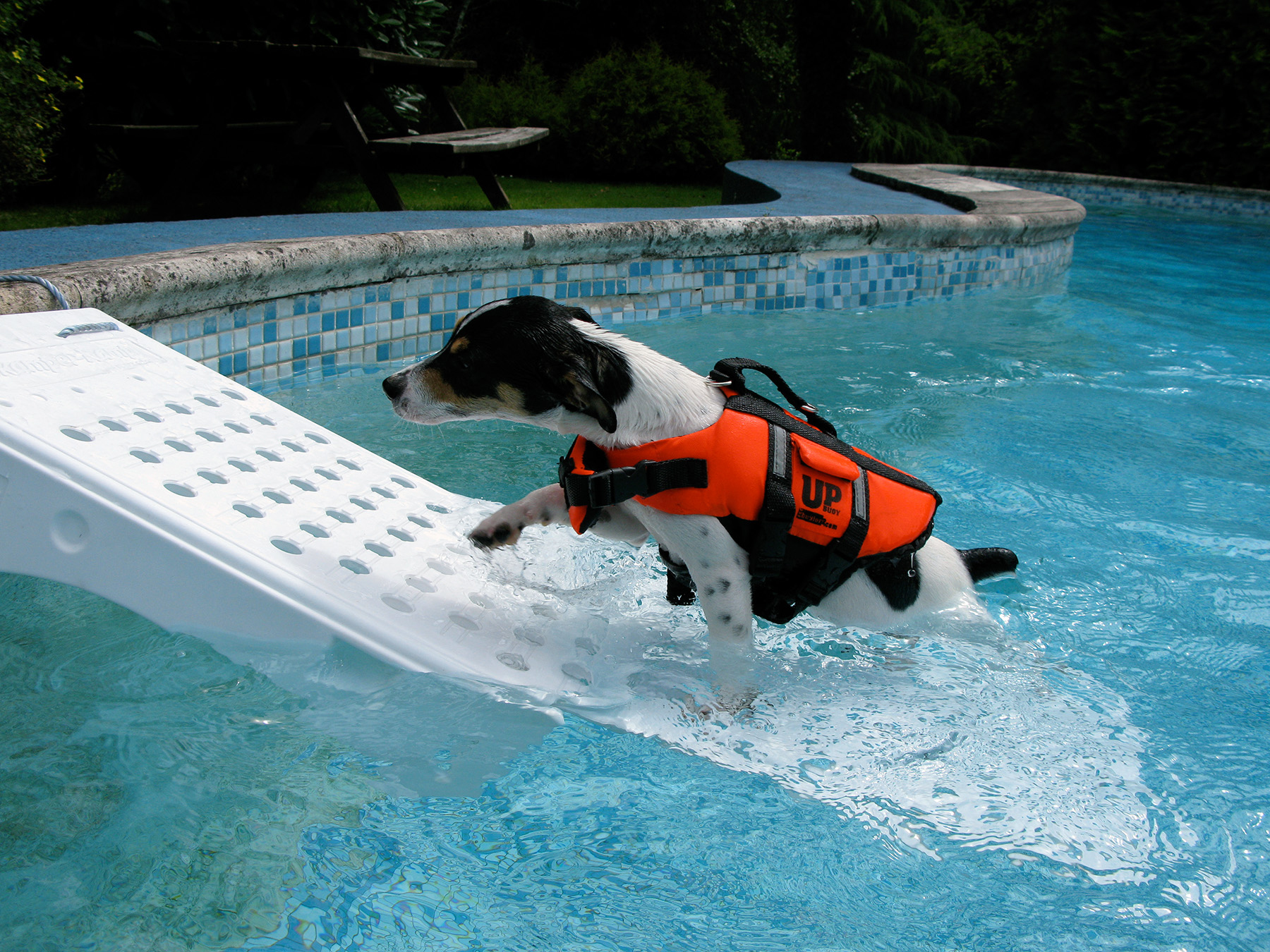 water safety